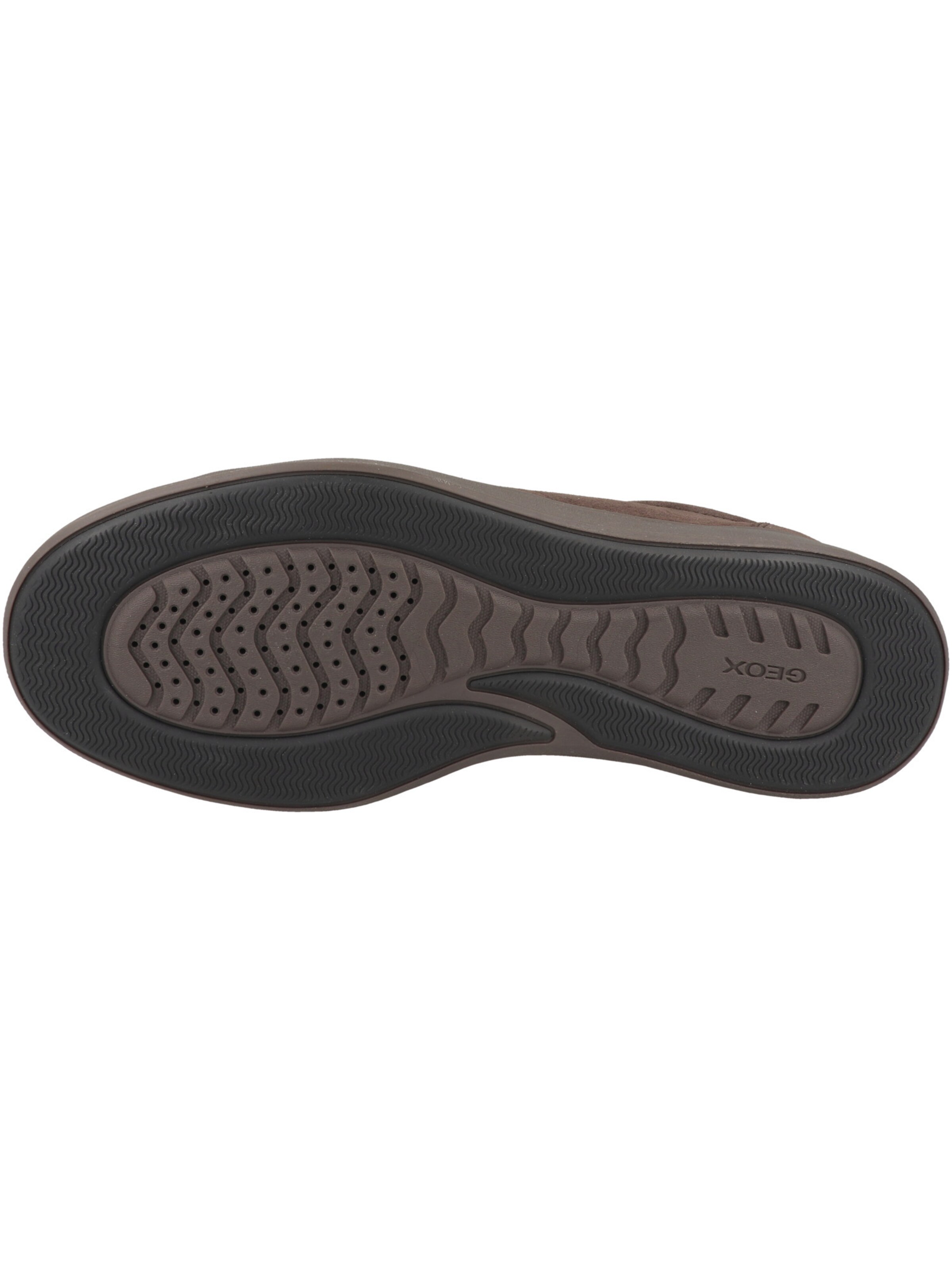 Baskets basses 'U Baltmoore' GEOX en marron