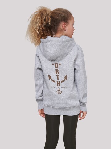 F4NT4STIC Sweatshirt in Grau: Vorderseite