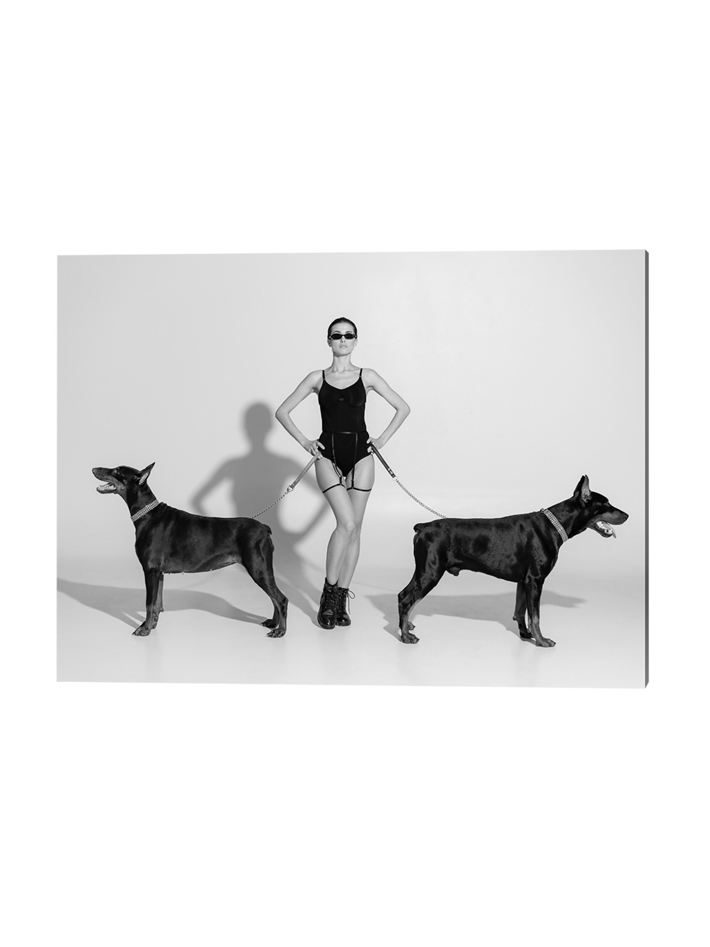 Liv Corday Bilder 'My Dogs' in Grau: Vorderseite