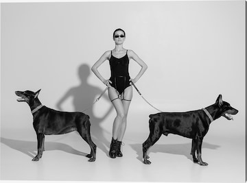 Liv Corday Image 'My Dogs' in Grey: front