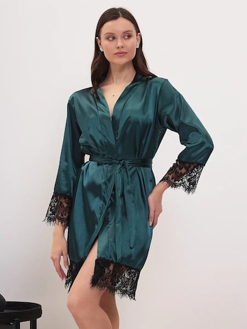 Halat pentru dimineață 'Halat satin' de la TrendyUp pe verde: față