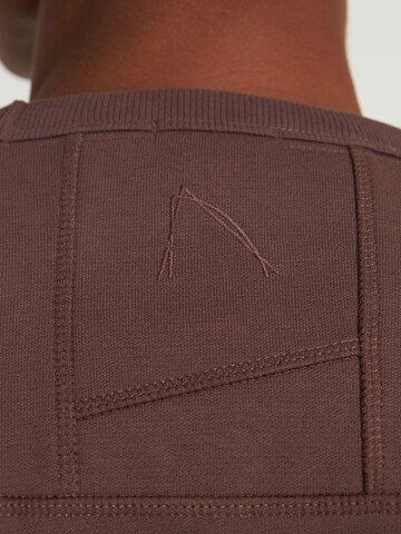 CHASIN' Sweatshirt 'Ryder' in Brown