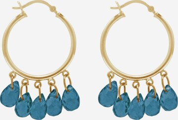 Gemshine Earrings in Gold