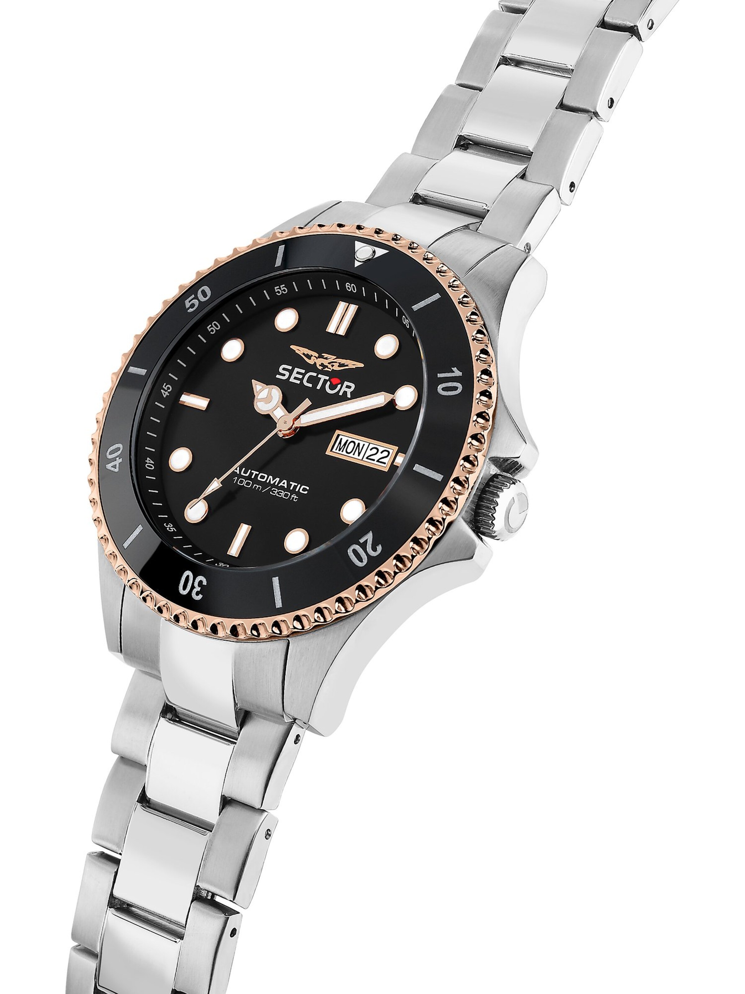 SECTOR Analog Watch in Silver