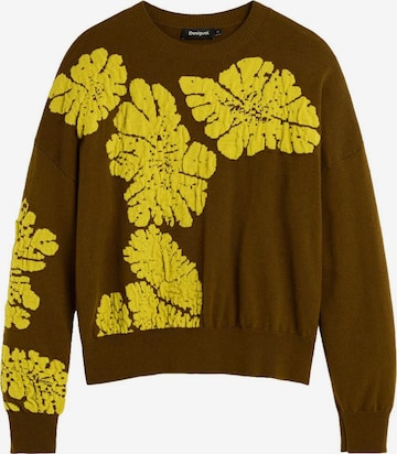 ruda Desigual Megztinis: priekis