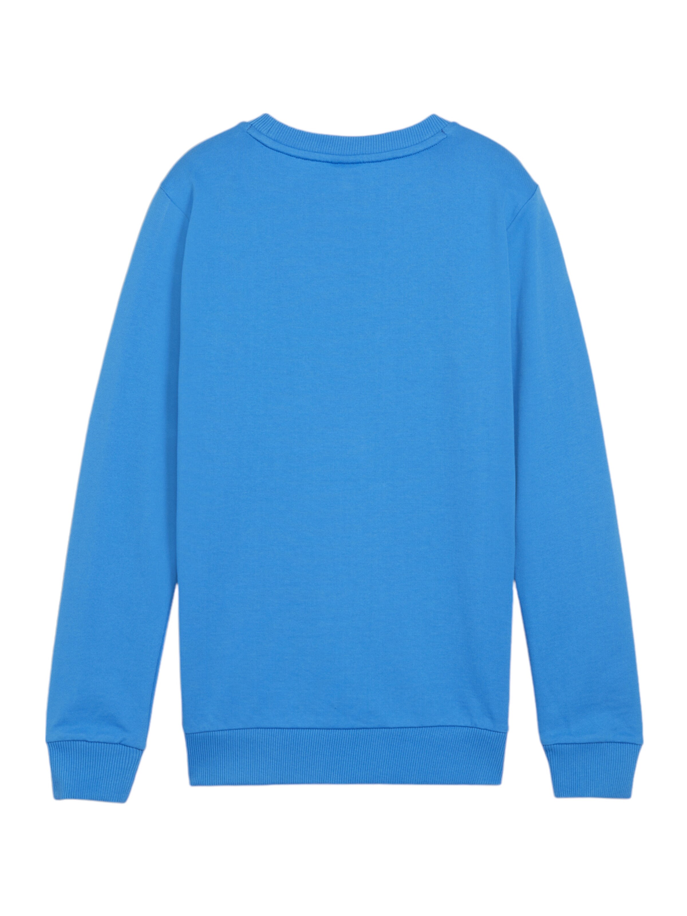 PUMA Sportsweatshirt 'GOAL' in Blau