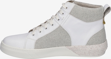 JOSEF SEIBEL Sneakers 'FRED 01' in White