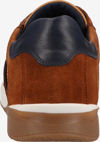 SANSIBAR Sneakers in Brown