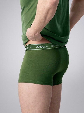 PANTONECLO Boxershorts 'Pantoneclo Men’s Boxer Underwear'‌‌‌ in Grün