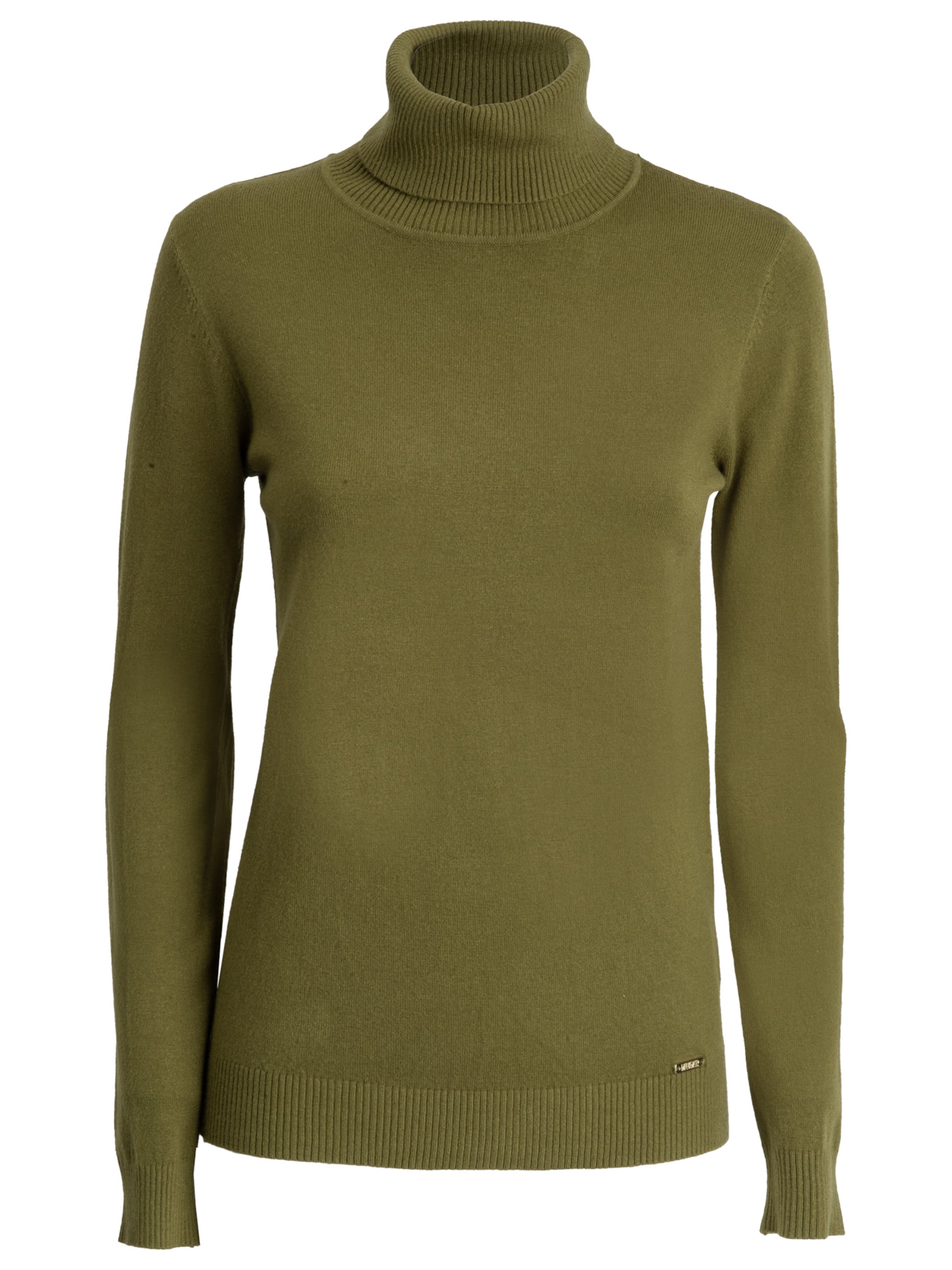 Influencer Sweater in Green: front