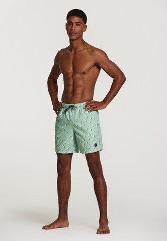 Shorts de bain Shiwi en vert