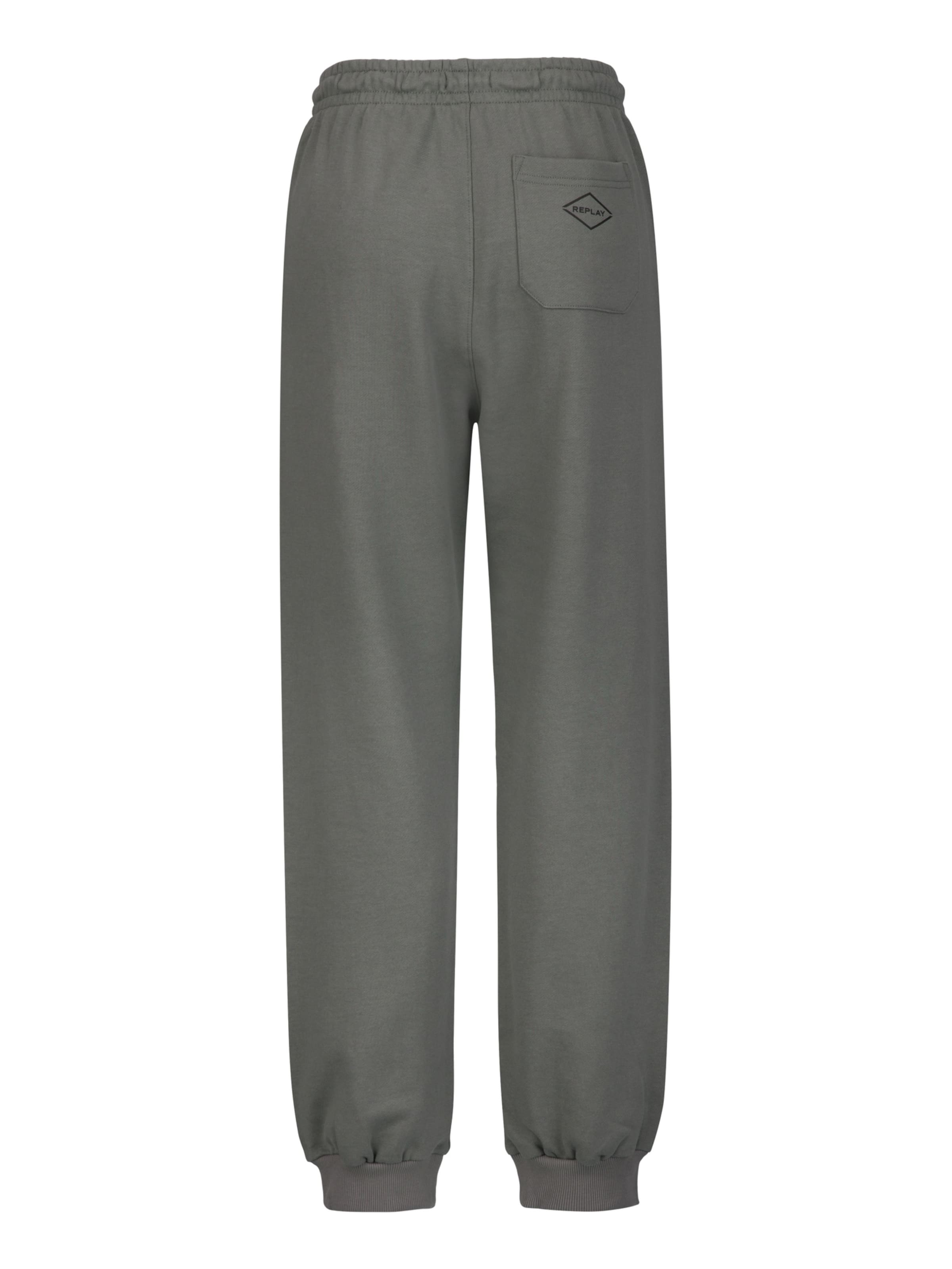 REPLAY Regular Jogginghose 'DSP' in Grau