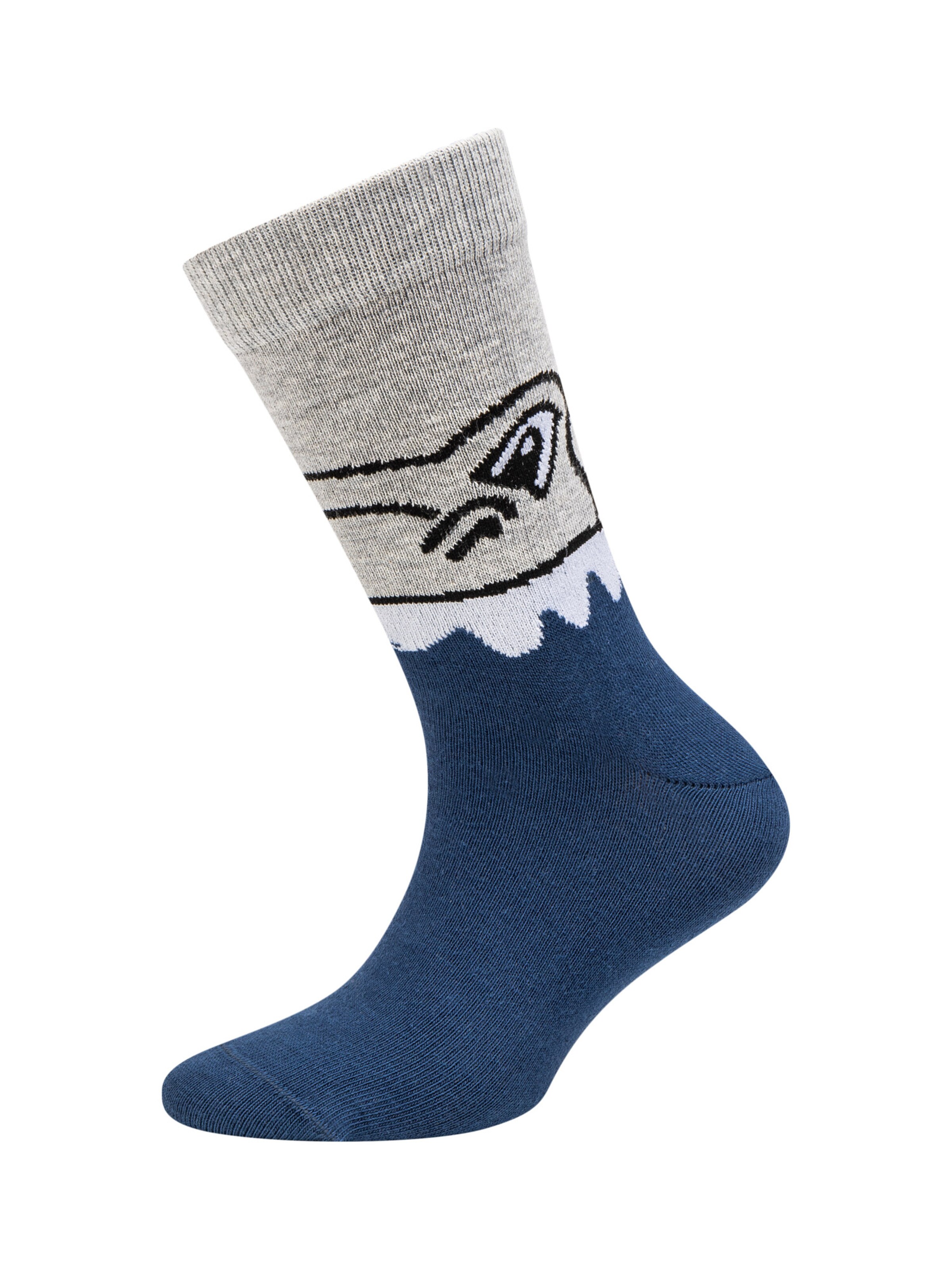 camano Socks in Mixed colors