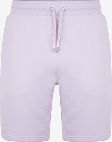Threadbare Regular Trousers 'Bergamot' in Purple: front