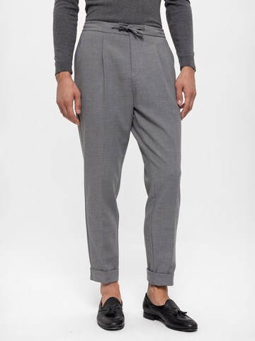 Antioch Regular Pleat-front trousers in Grey