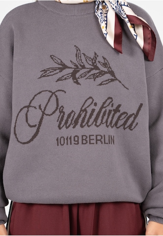 Prohibited Pullover in Grau