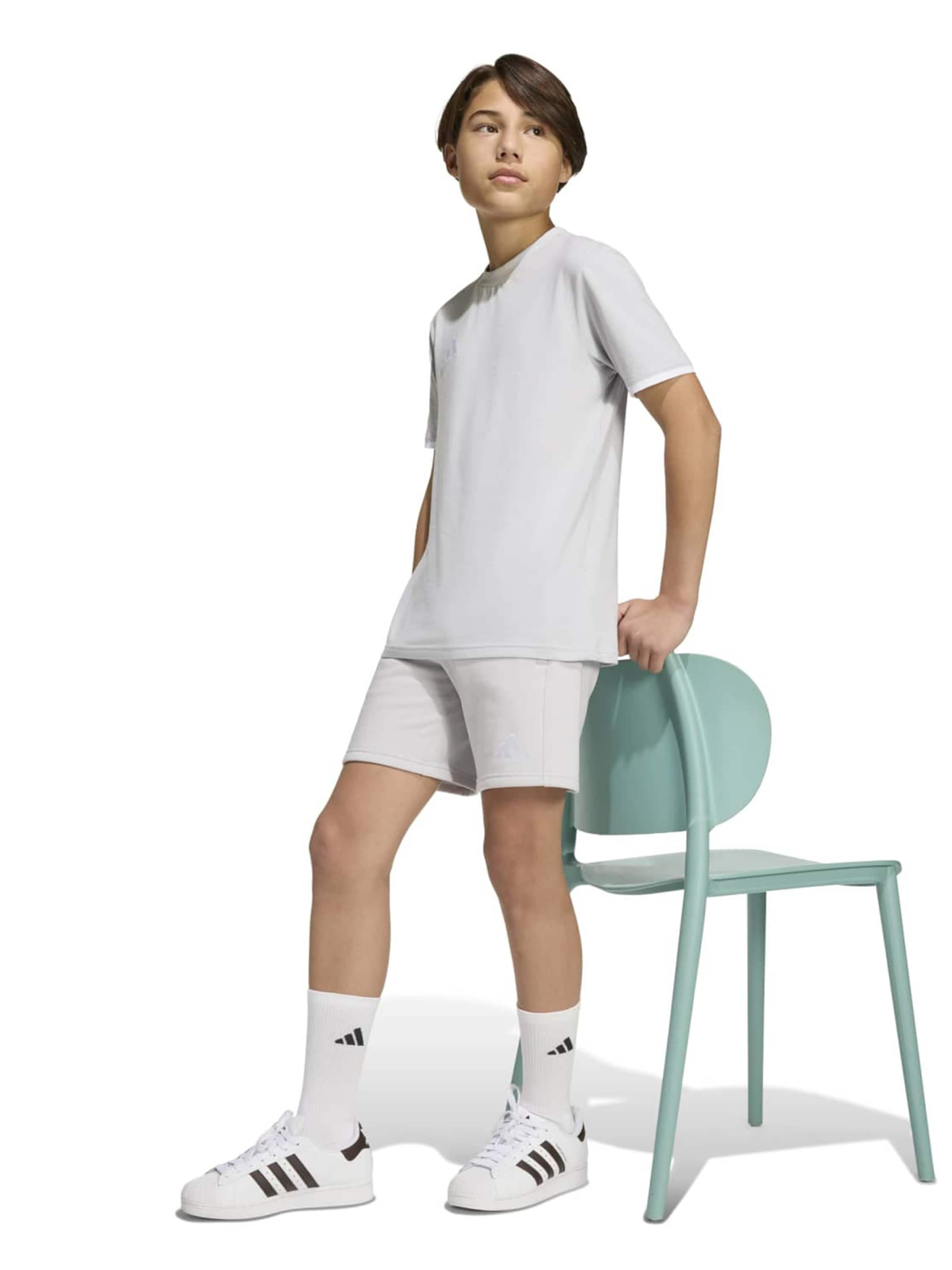 ADIDAS PERFORMANCE Szabványos Sportnadrágok 'ENT26' - szürke