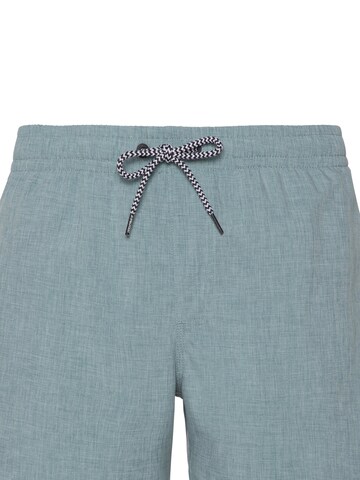 PROTEST Board Shorts 'Davey' in Green