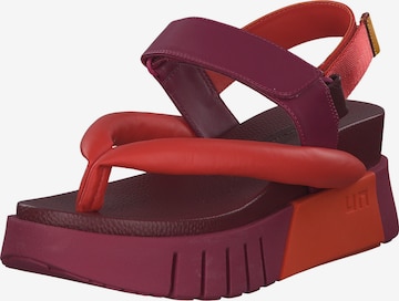 UNISA Sandals 'Delta Tong' in Red: front