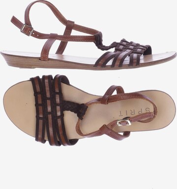 ESPRIT Sandals & High-Heeled Sandals in 38 in Brown: front