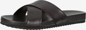 Gordon & Bros Mules in Brown: front