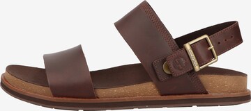 TIMBERLAND Sandals in Brown