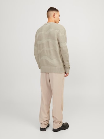 JACK & JONES Trui 'Blujosh' in Beige