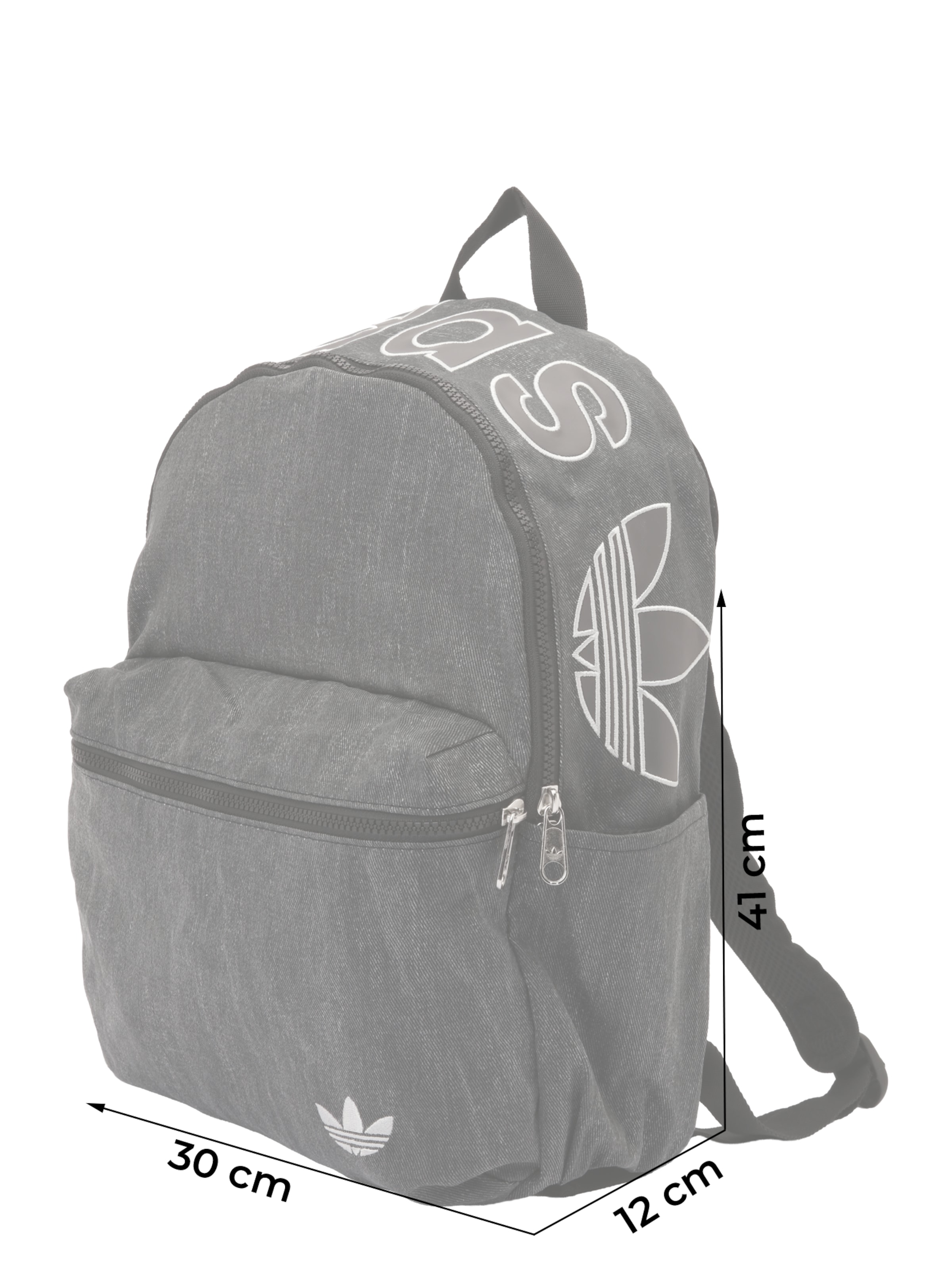 ADIDAS ORIGINALS Σακίδιο πλάτης σε μαύρο