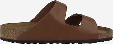 BIRKENSTOCK Μιούλ σε καφέ