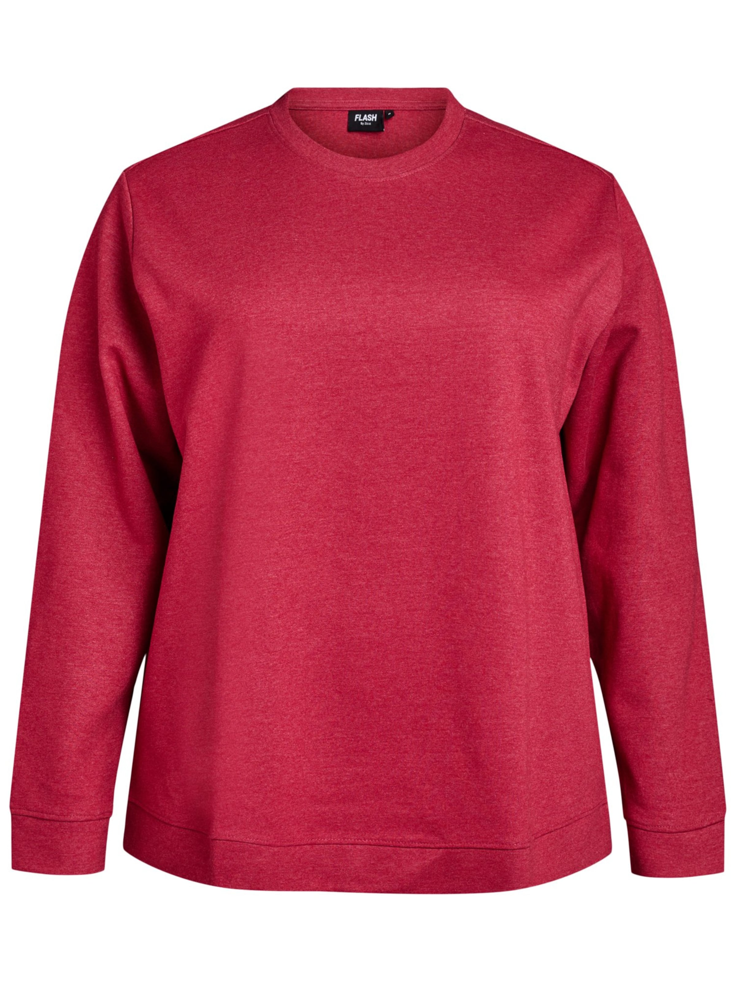 Zizzi Μπλούζα φούτερ 'Vigga' σε κόκκινο: μπροστά