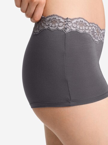 Hanro Panty 'Dana' in Grey