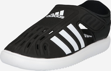 ADIDAS SPORTSWEAR - Sapato de praia/banho em preto: frente