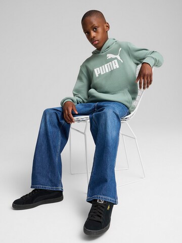 PUMA Свитшот 'Ess No. 1' в Зеленый