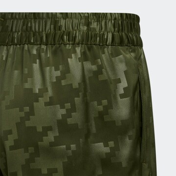 ADIDAS ORIGINALS Normální Kalhoty – zelená