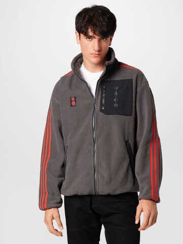 Veste en polaire fonctionnelle 'Fc Bayern Lifestyler' ADIDAS PERFORMANCE en gris : devant