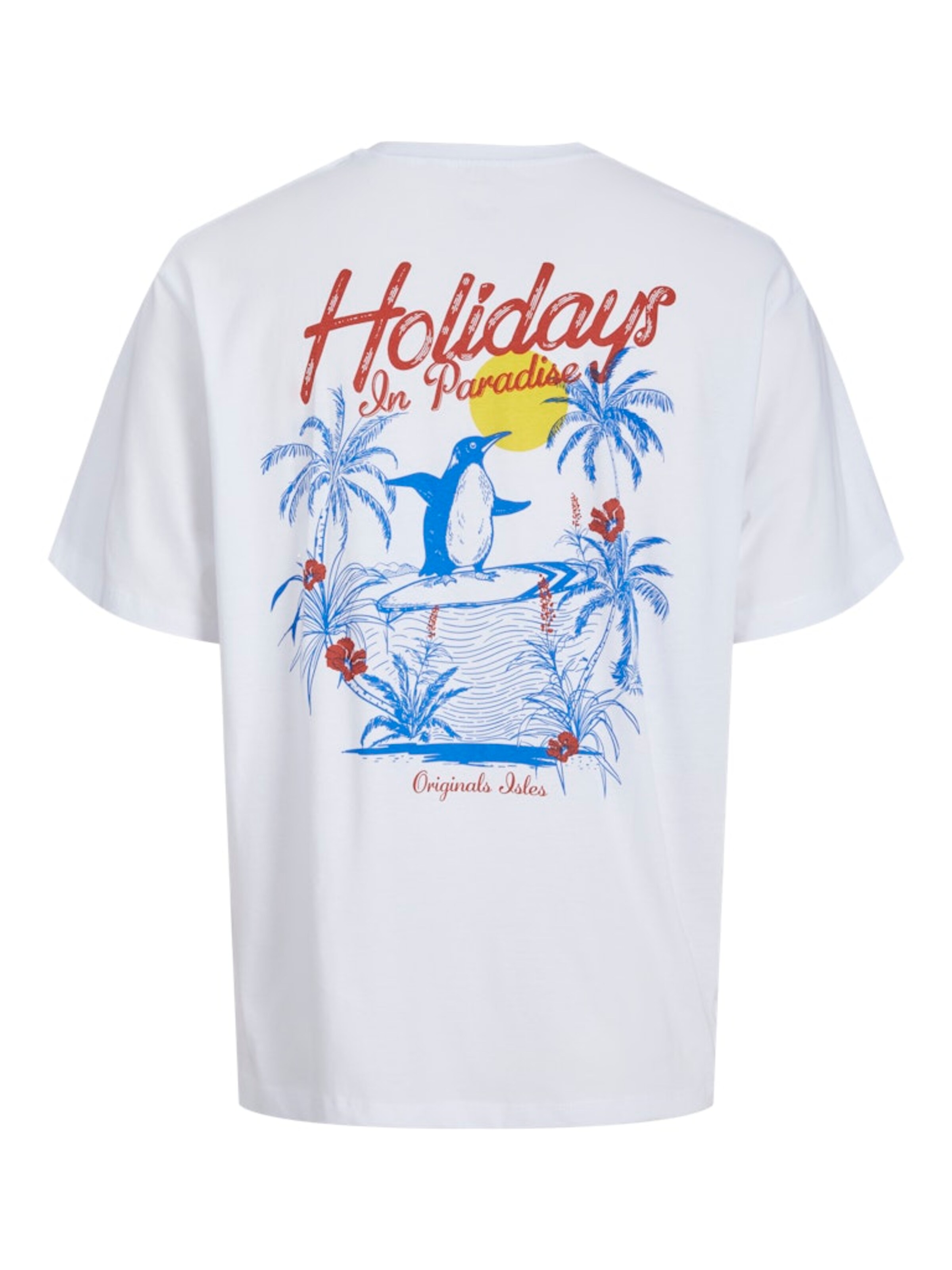 JACK & JONES Футболка 'JORWOWIE' в Белый