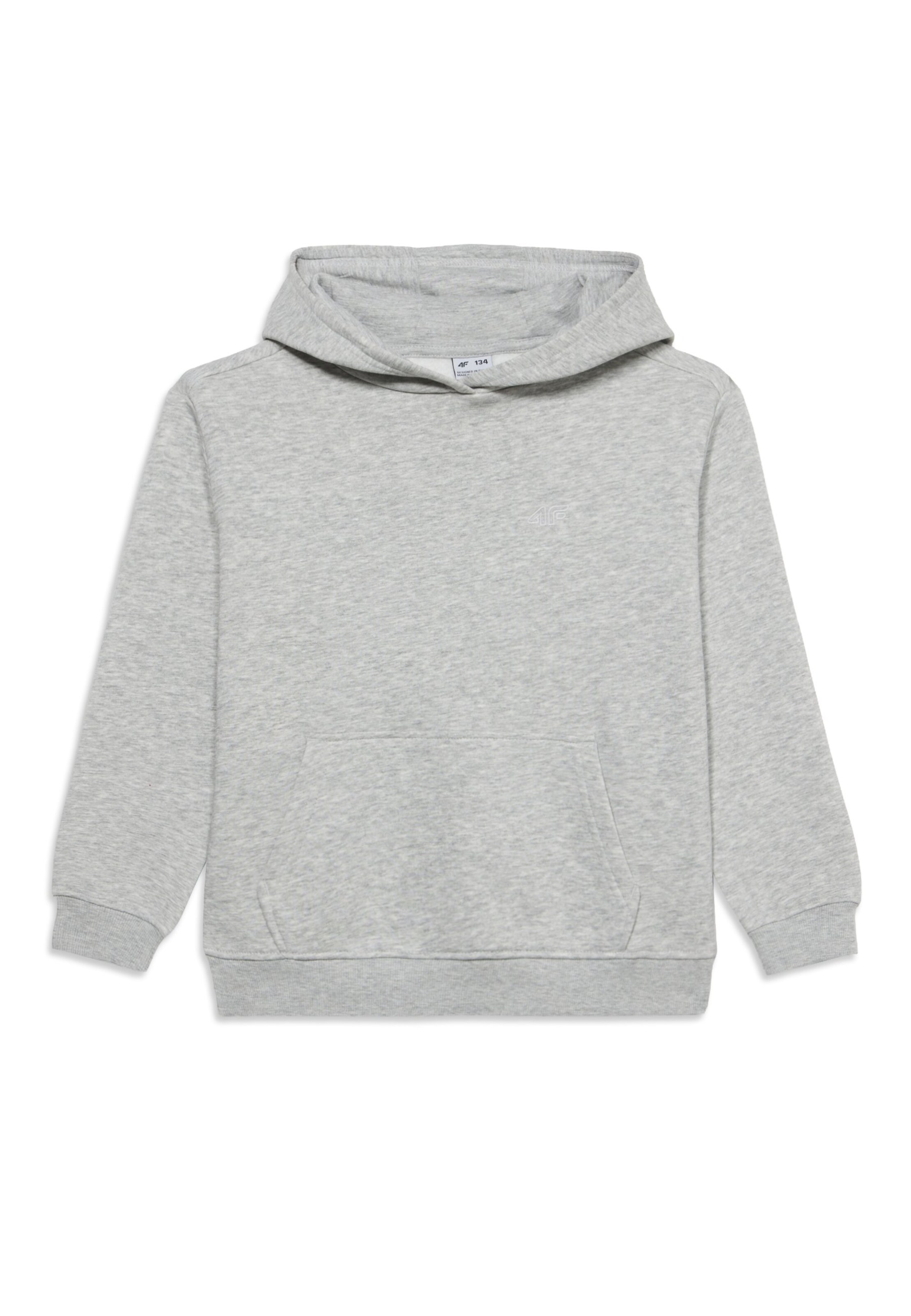4F Junior Sweatshirt in Grey: front