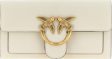 Portamonete '100062 A0F1' di PINKO in beige: frontale