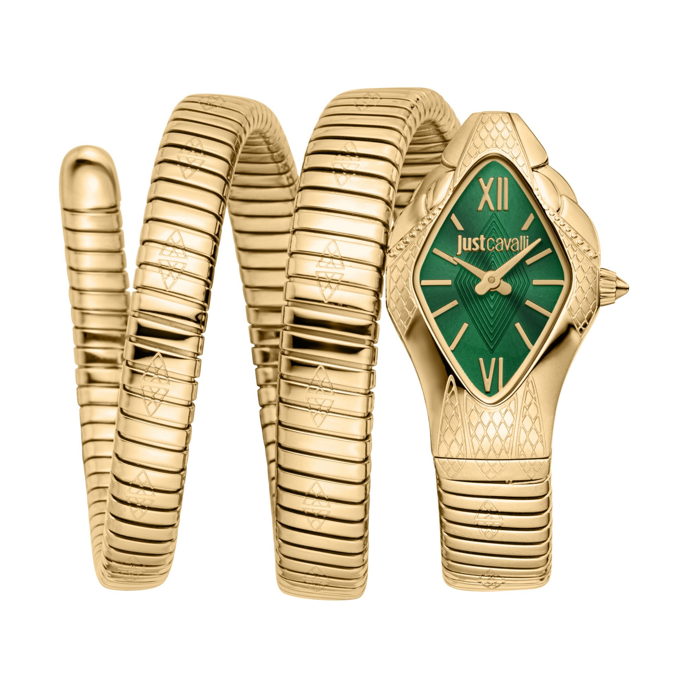 Just Cavalli Time Analog Watch in Gold: front