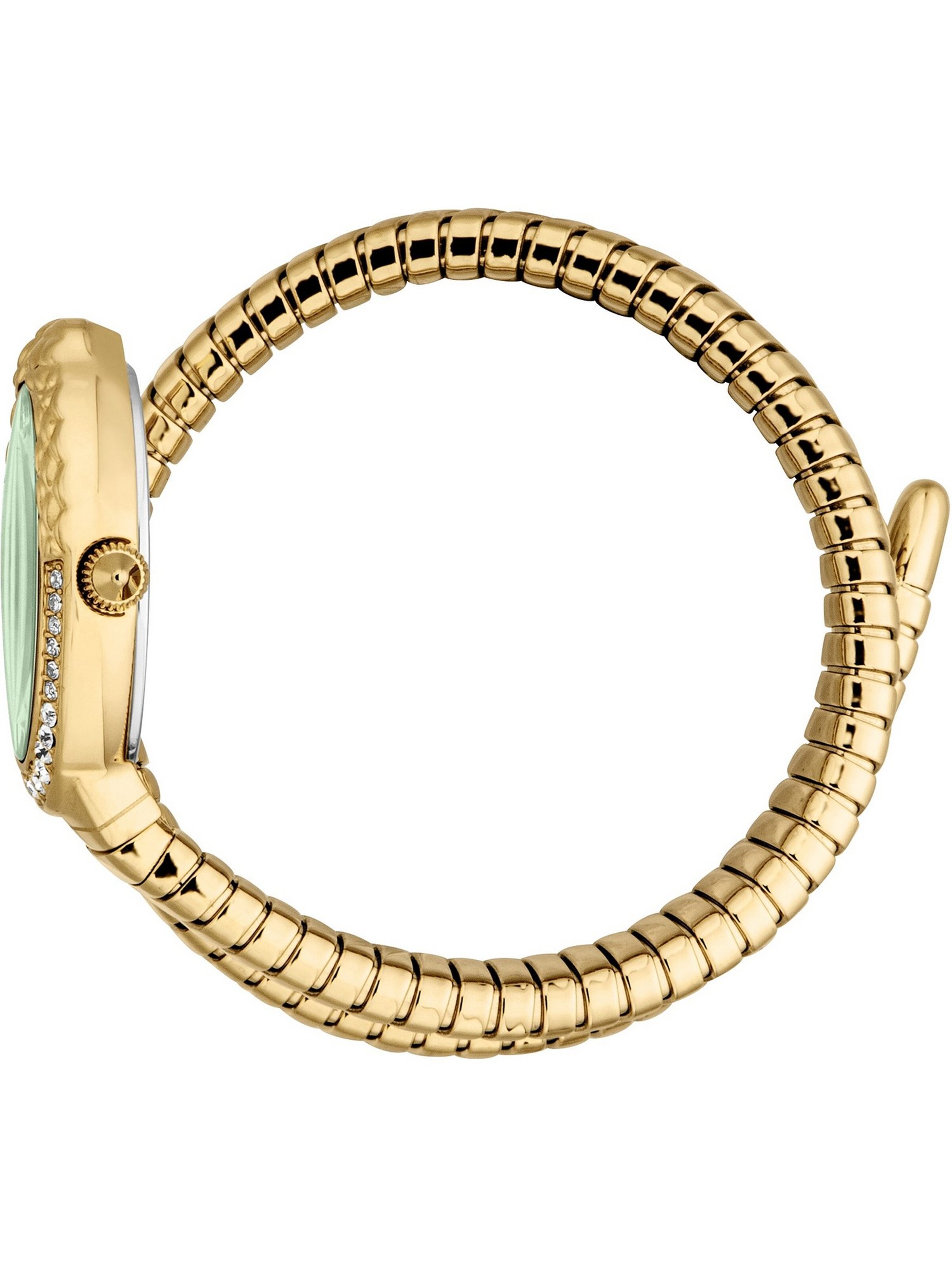 Just Cavalli Uhr in Gold