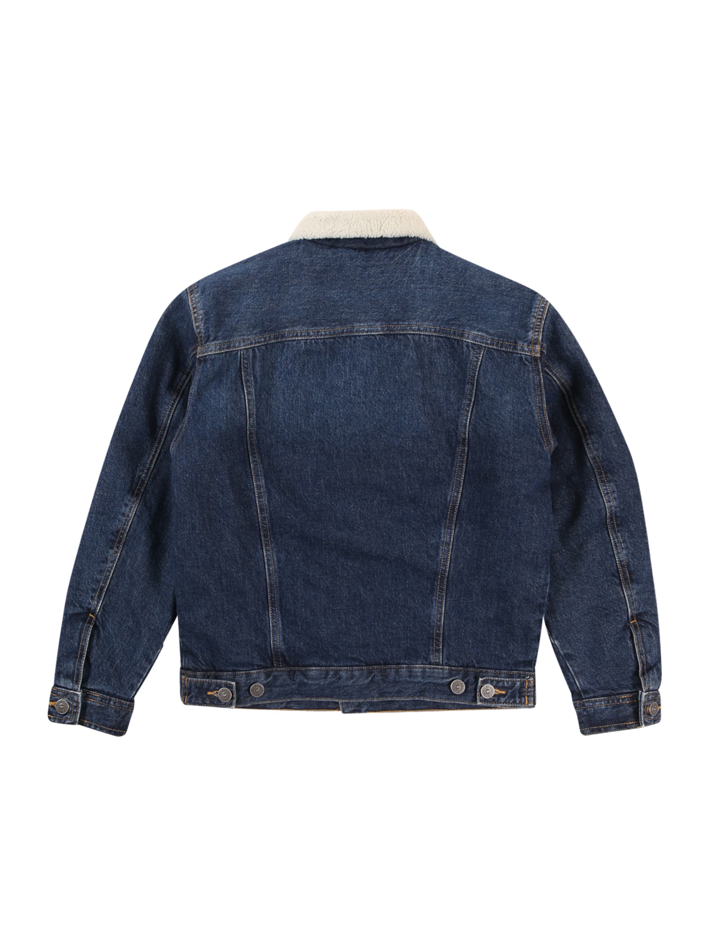 DIESEL Between-Season Jacket 'JRESKY' in Blue