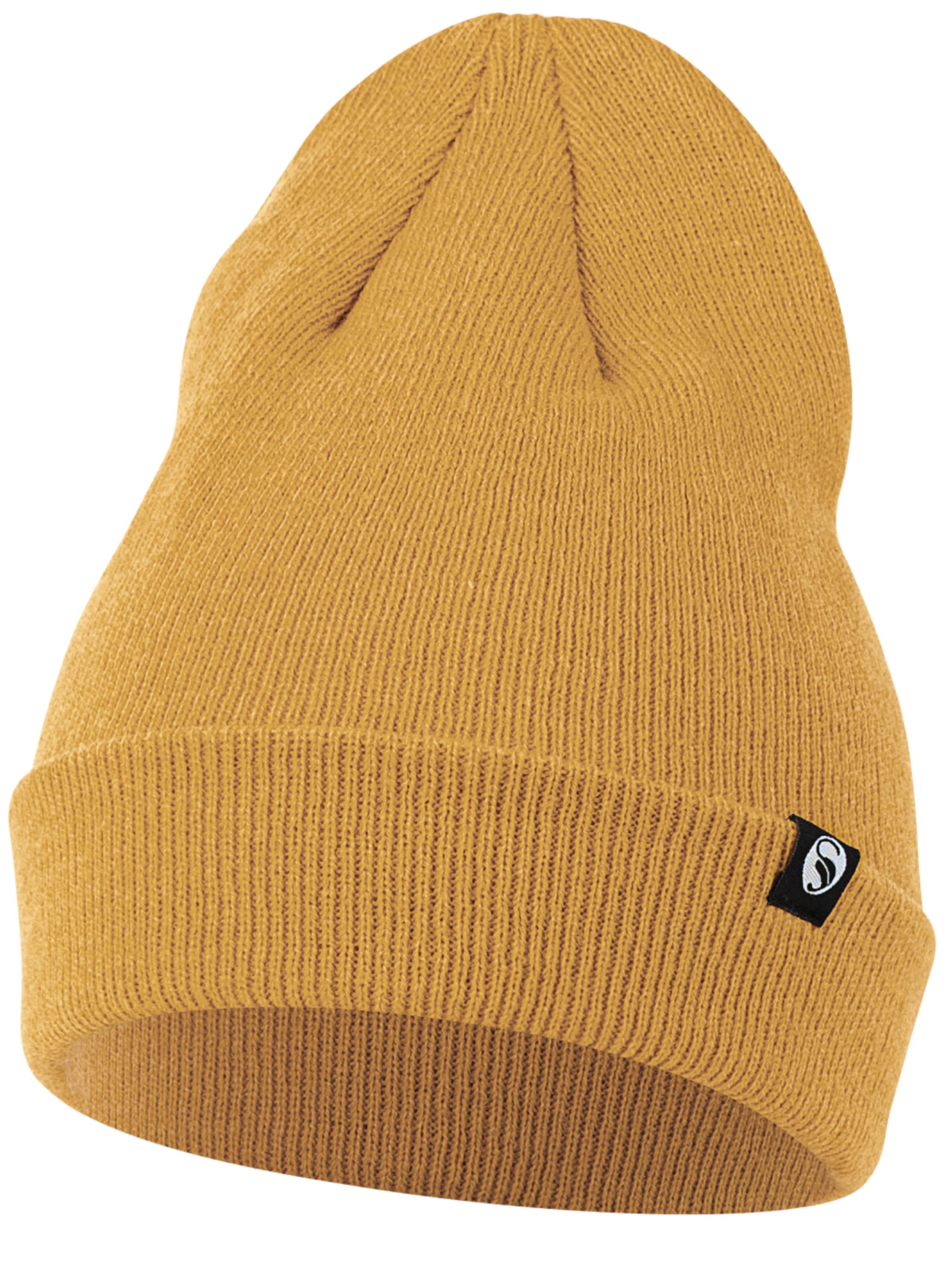Stark Soul Beanie in Brown: front