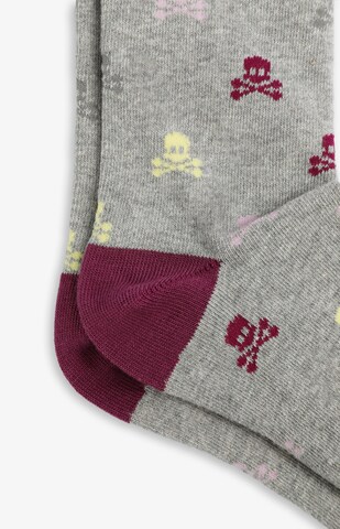 Scalpers Socks in Grey