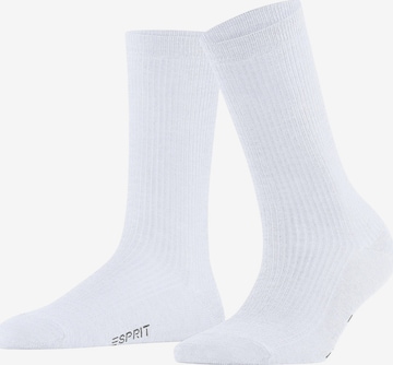 ESPRIT Socken 'Reflection Rib' in Weiß: Vorderseite