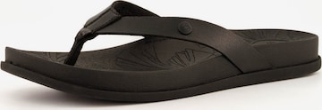 REEF Beach & Pool Shoes ' Cushion Porto Cruz ' in Black: front