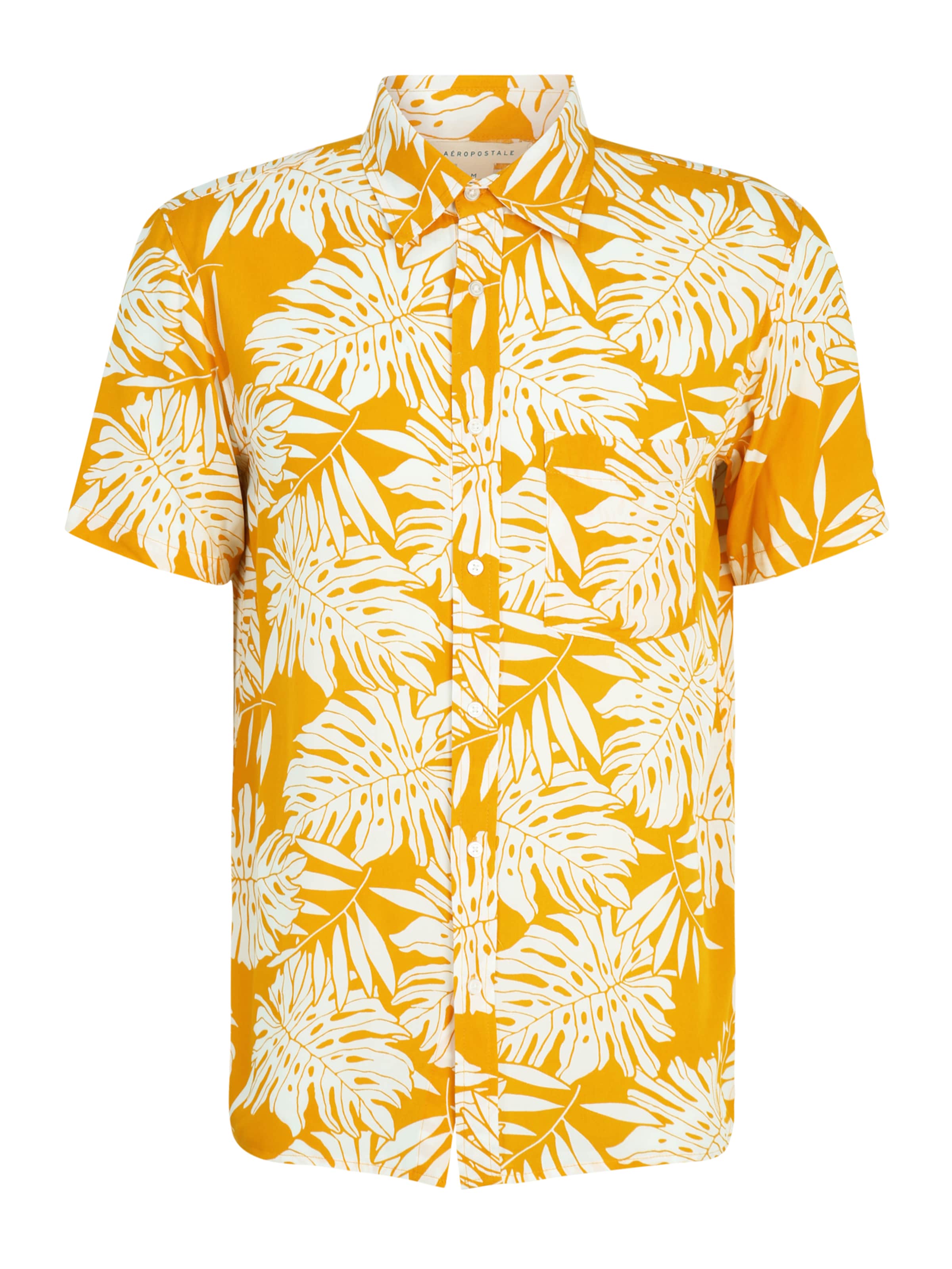 Regular fit Cămașă de la AÉROPOSTALE pe mai multe culori: față