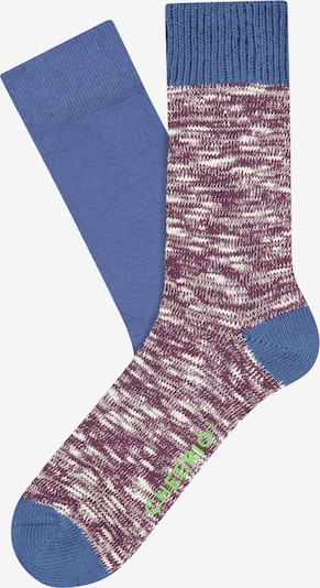 Kojinės 'BOOT BUDDY' iš CHEERIO*, spalva – purpurinė, Prekių apžvalga