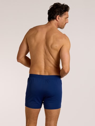 wavebreaker Swim Trunks in Blue