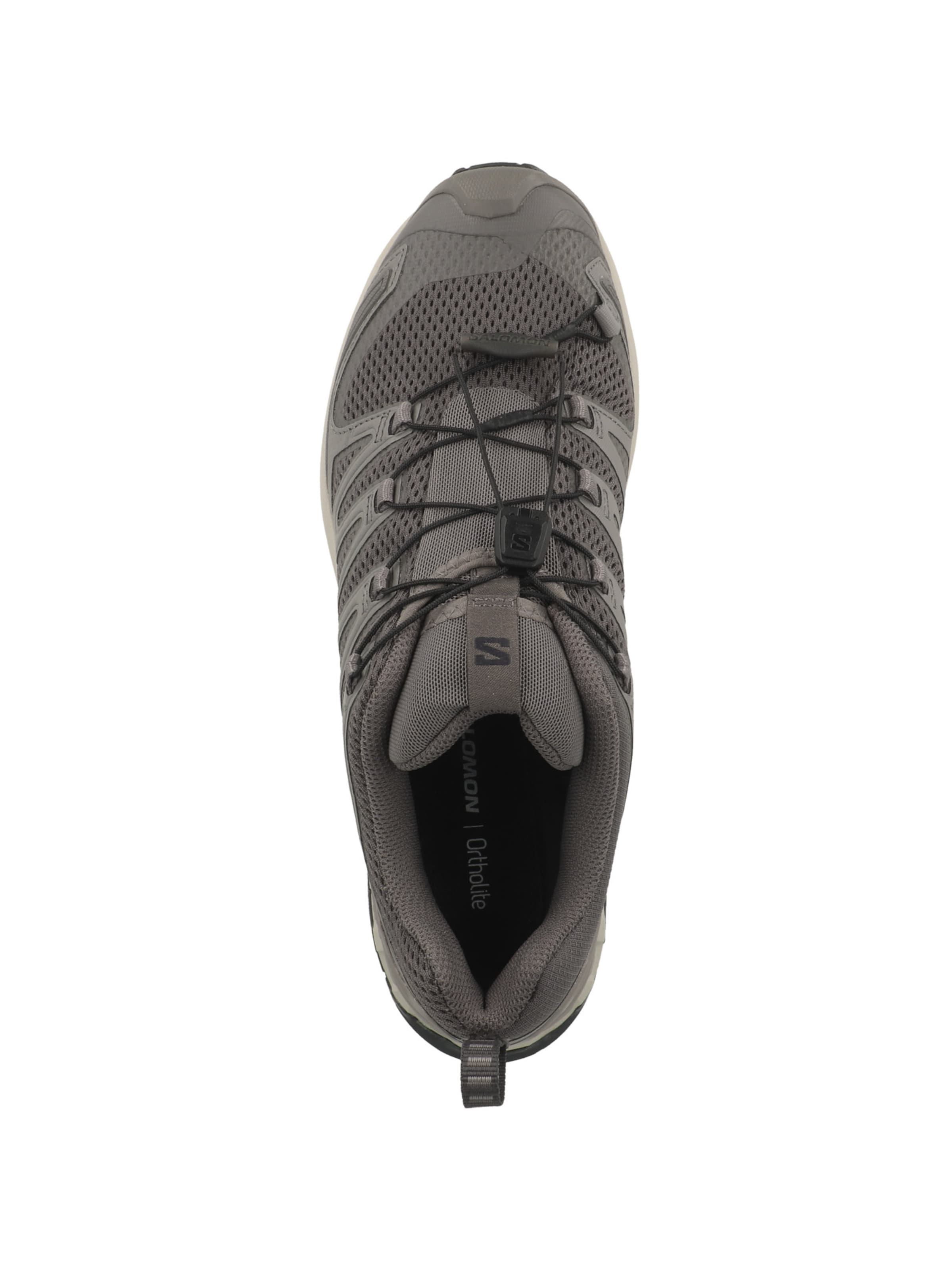 SALOMON Laufschuh 'XA Pro 3D V9' in Grau