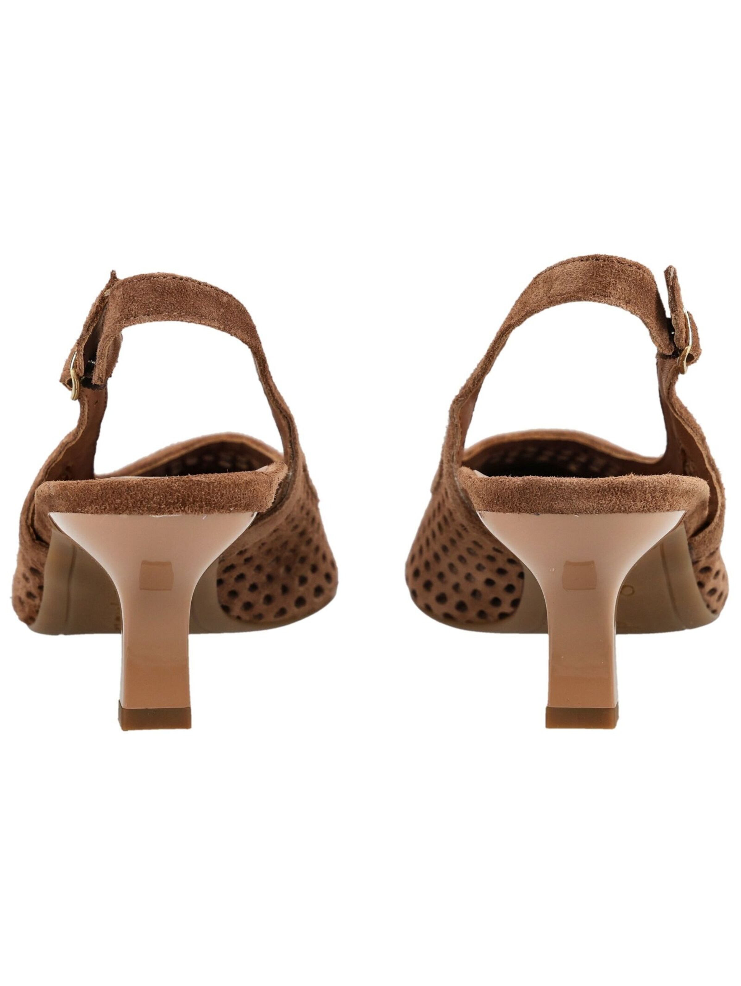 Paul Green Pumps in Braun